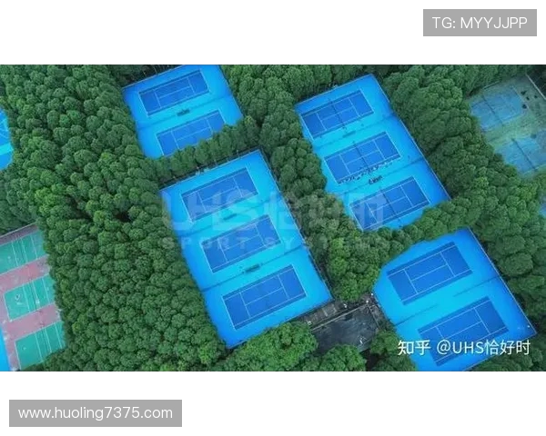 从草地到红土网球场上的速度与技巧全面解析